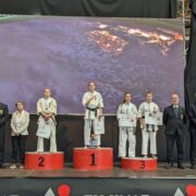 Чемпіонат Європи з кіокушинкай карате