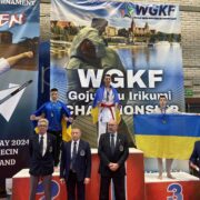 Чемпіонат світу повноконтактного карате стилю годзю-рю