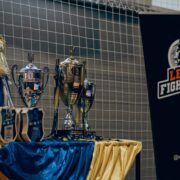 КУБОК УКРАЇНИ З КІКБОКСИНГУ ВАКО